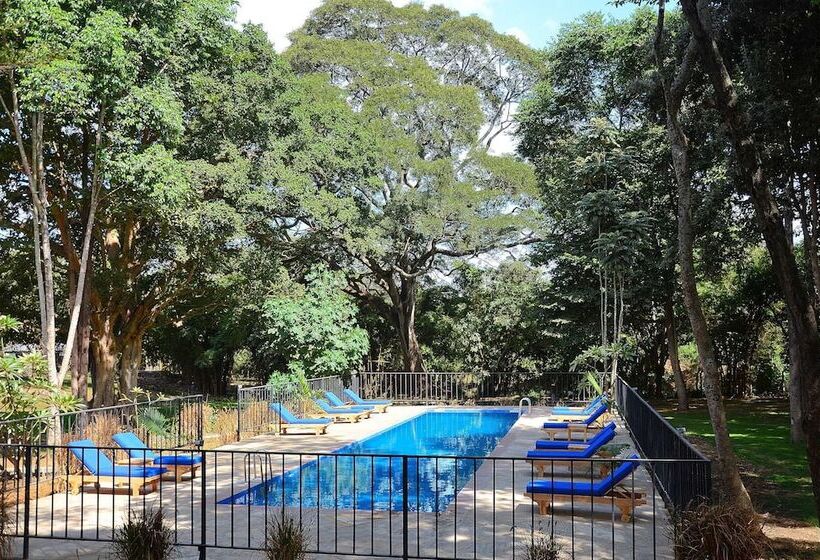 Отель Green Hills Of Africa