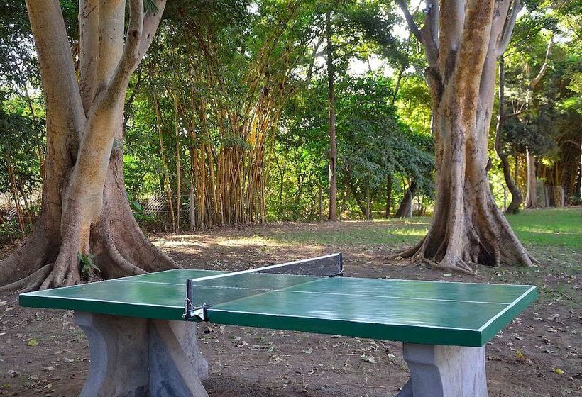 Отель Green Hills Of Africa