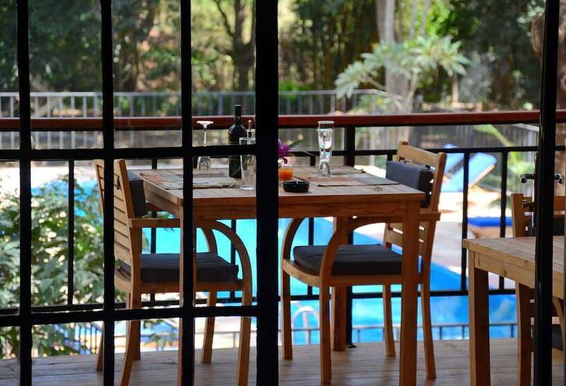 Отель Green Hills Of Africa