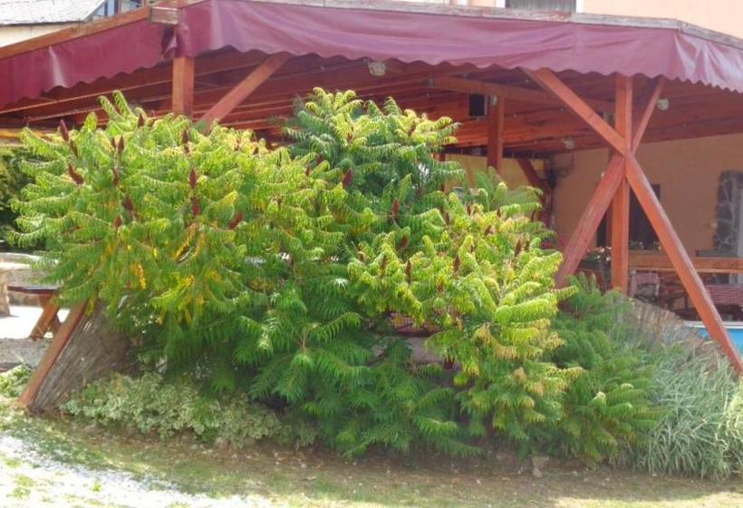 ホテル Katica Vend¿