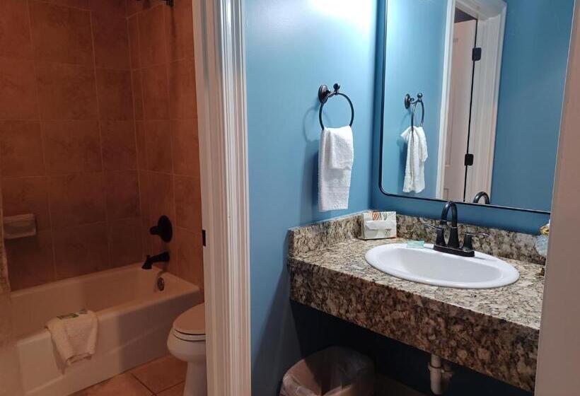 ホテル Natchez Manor Bed & Breakfast