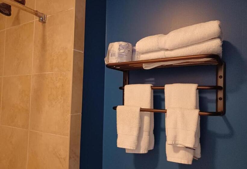 ホテル Natchez Manor Bed & Breakfast