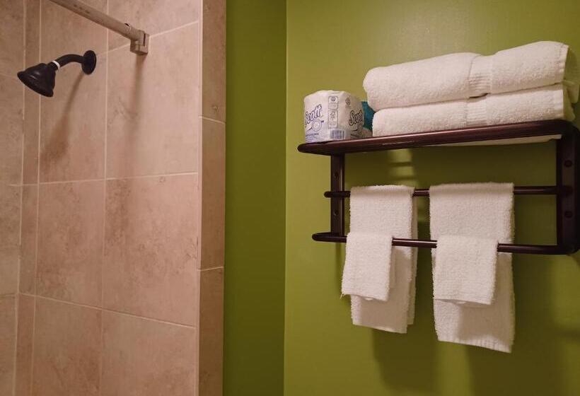 ホテル Natchez Manor Bed & Breakfast