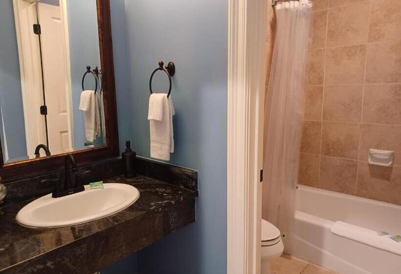 ホテル Natchez Manor Bed & Breakfast