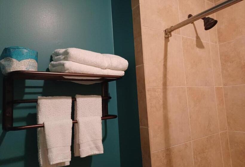 ホテル Natchez Manor Bed & Breakfast