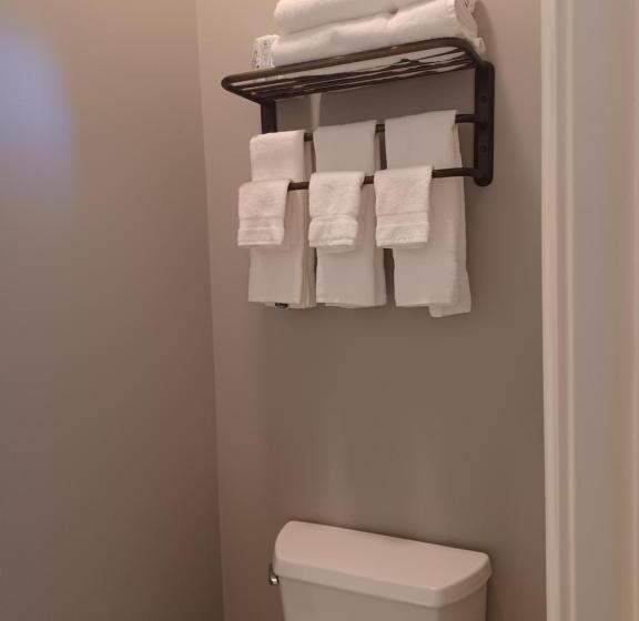 ホテル Natchez Manor Bed & Breakfast