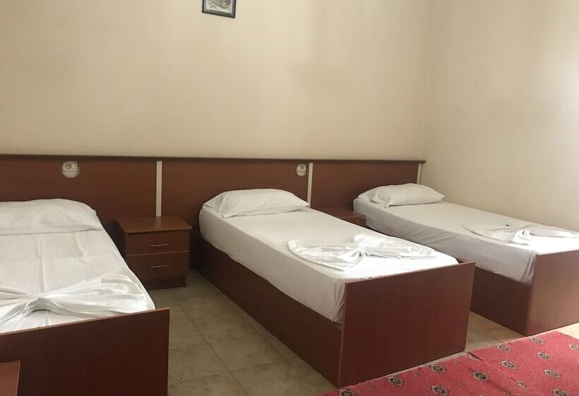 בית מלון כפרי Skampa