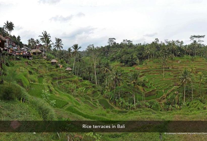 Отель Zen Rooms By Pass Ngurah Rai Suwung