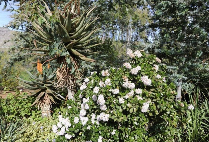 Karoo Pride En Route 62