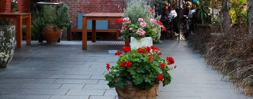 Sinclairs City Hostel