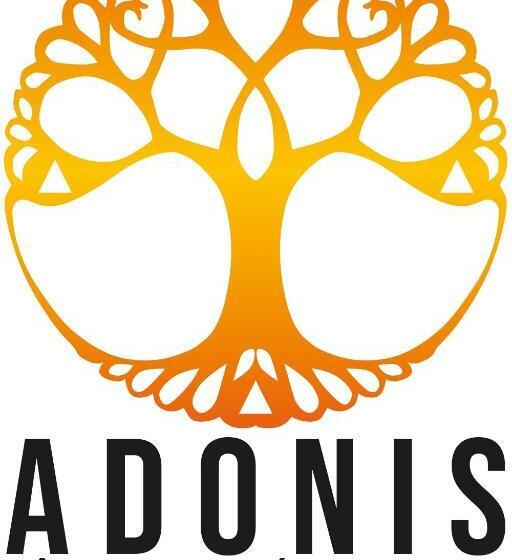 Adonis Dijon Maison Internationale