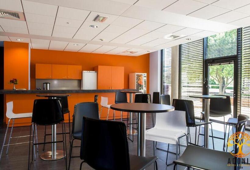 Adonis Dijon Maison Internationale