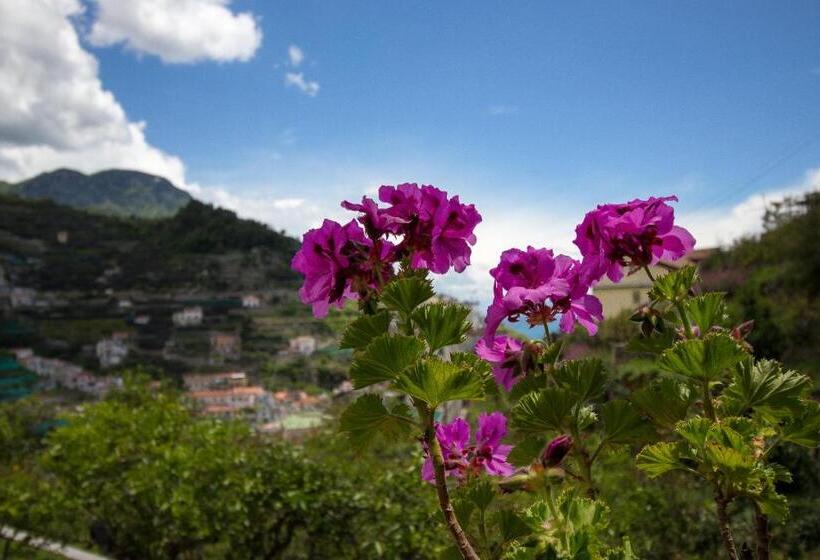 צימר Villa La Zagara