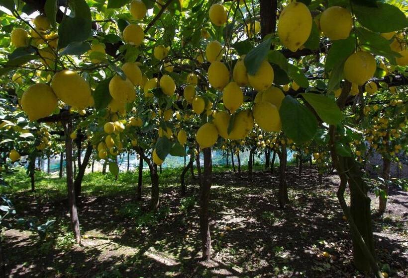 צימר Villa La Zagara