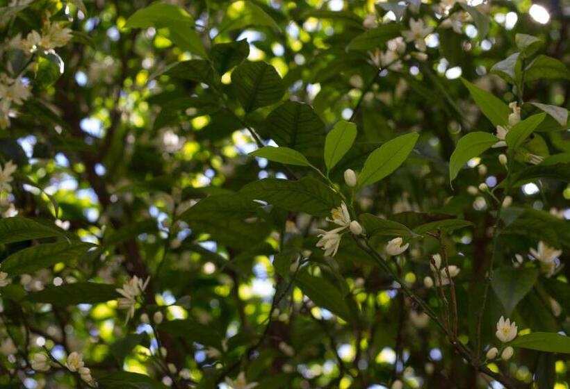 צימר Villa La Zagara