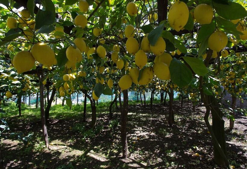 צימר Villa La Zagara