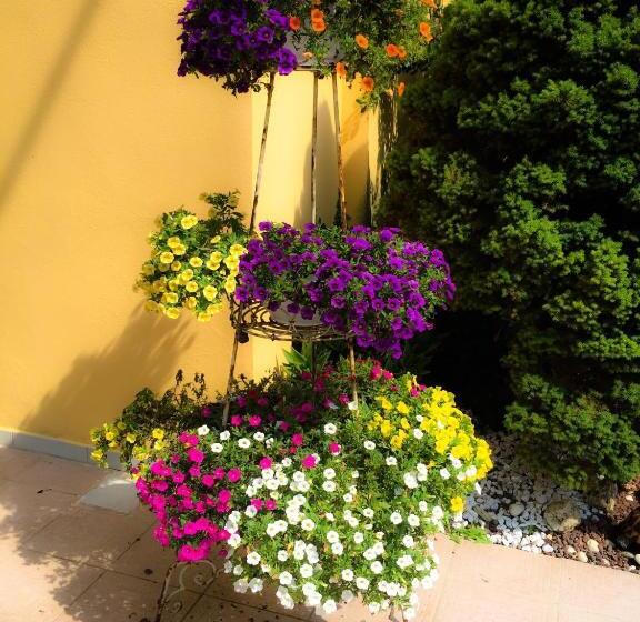 Bed and Breakfast Le Pinette