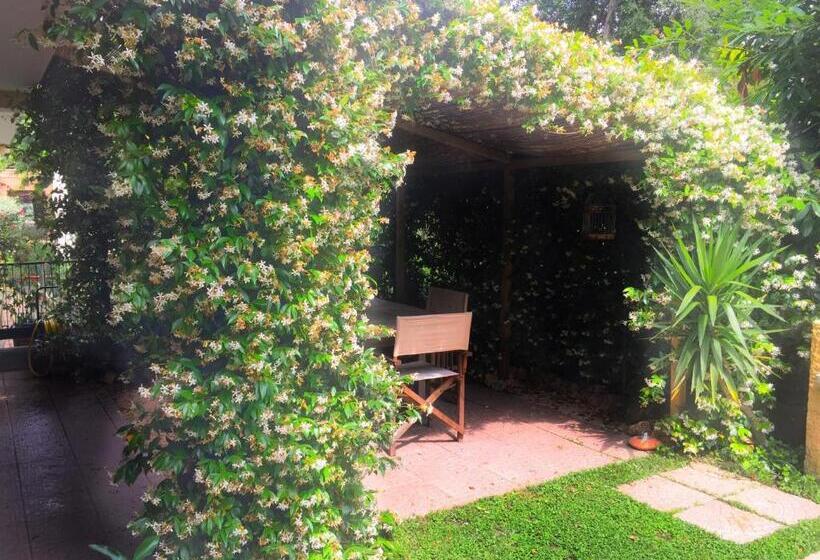 Bed and Breakfast Le Pinette