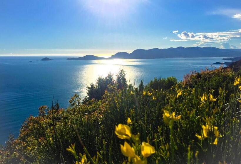 Bed and Breakfast Le Pinette