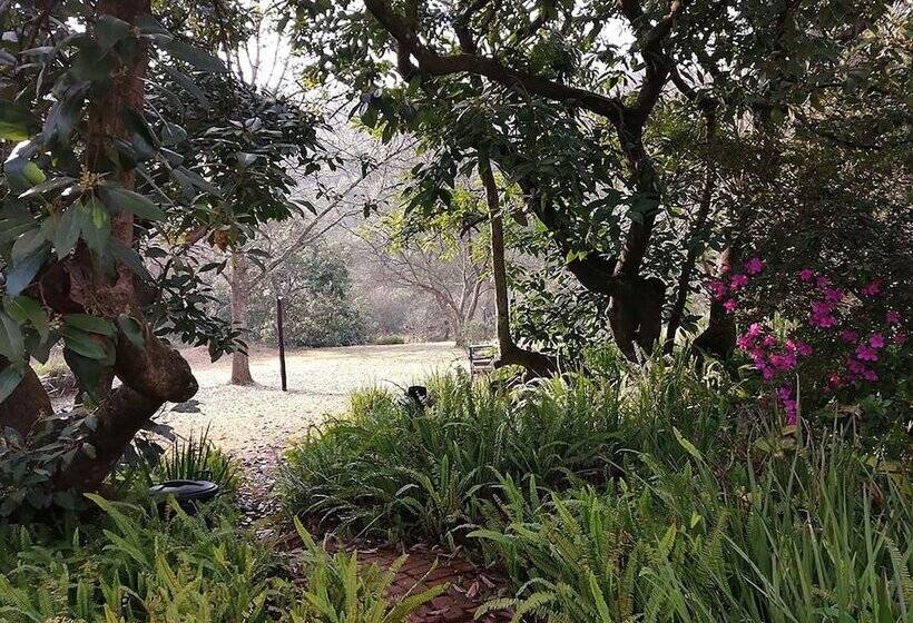 住宿加早餐  Sabi Star Chalets