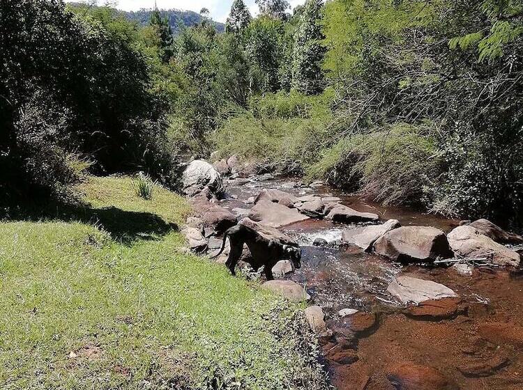 住宿加早餐  Sabi Star Chalets
