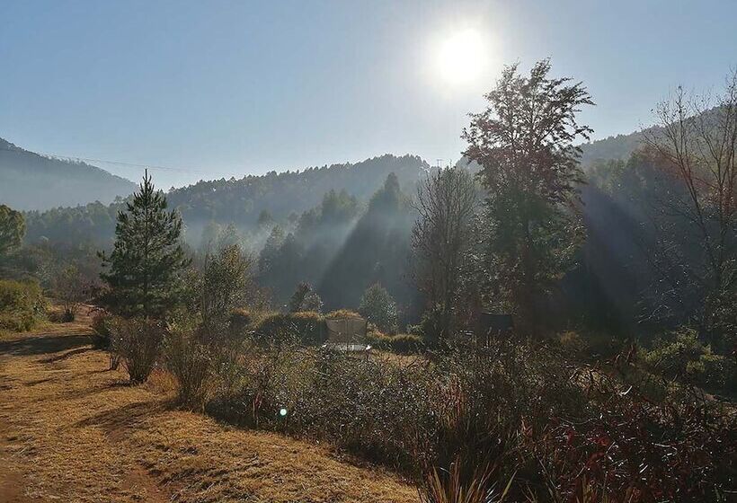 住宿加早餐  Sabi Star Chalets