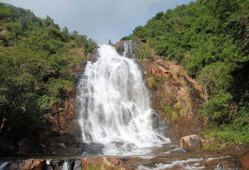 住宿加早餐  Sabi Star Chalets
