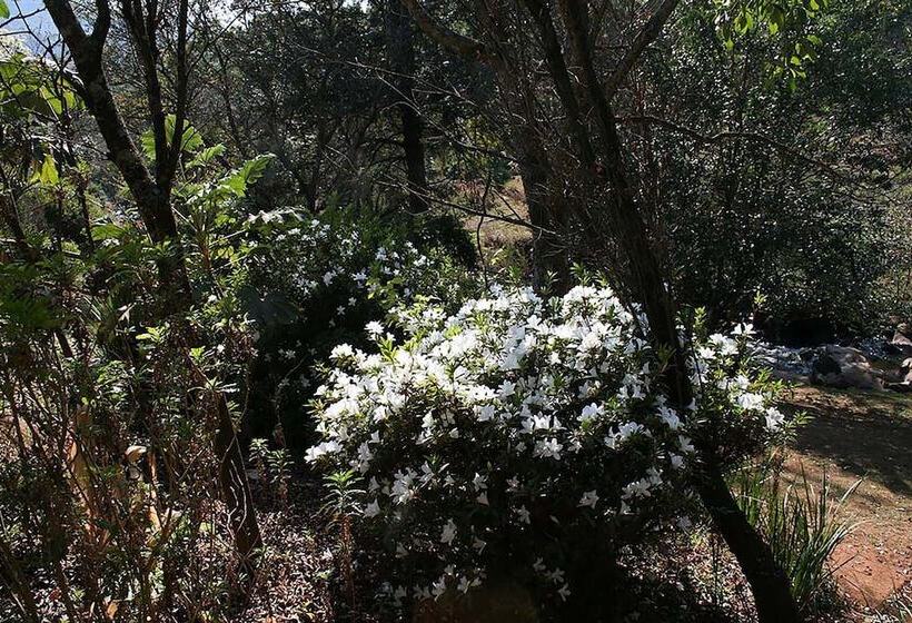 住宿加早餐  Sabi Star Chalets