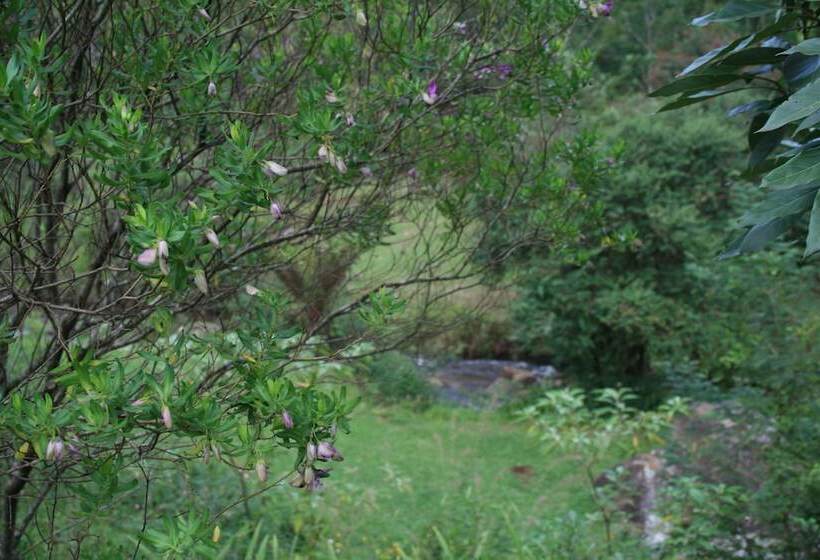 住宿加早餐  Sabi Star Chalets