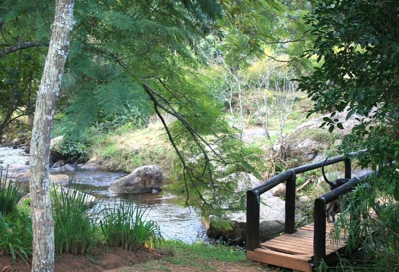 住宿加早餐  Sabi Star Chalets