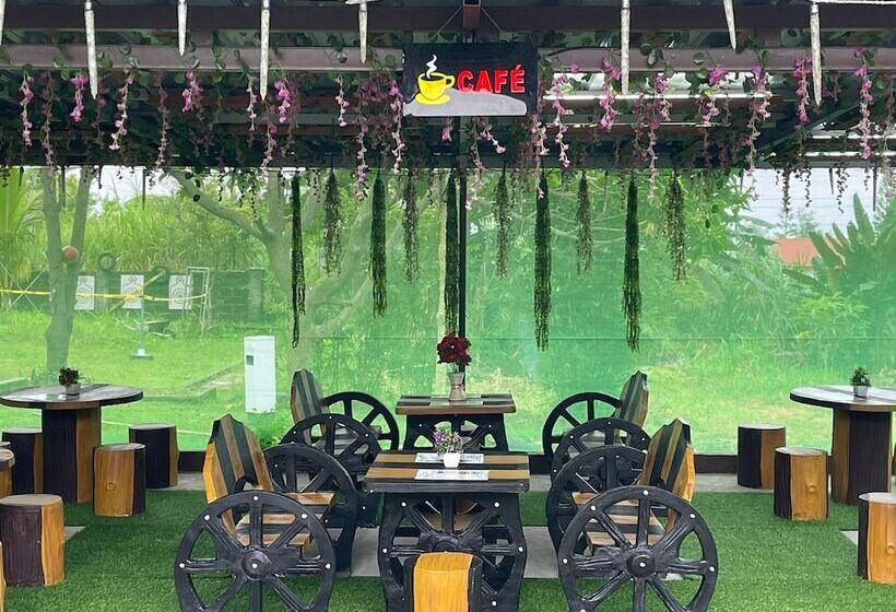 مبيت وإفطار The Carmelence Lodge