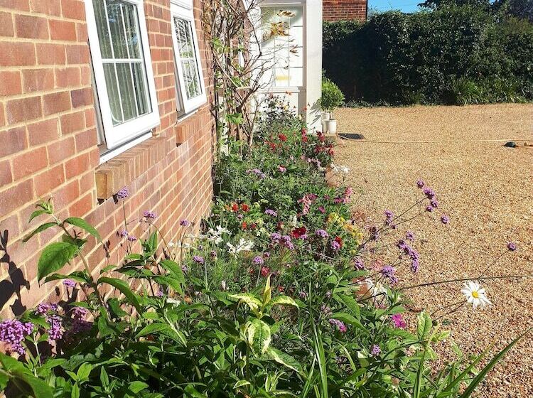 Berry House Bed & Breakfast