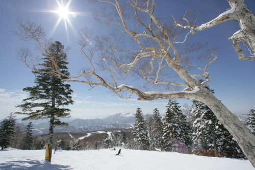 فندق Kyukamura Azumayamalodge