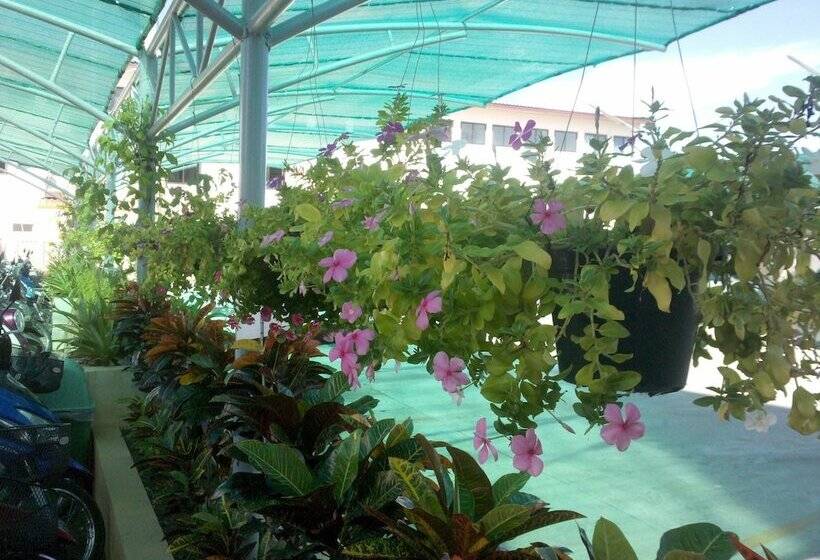 Отель Mild Sign Residence