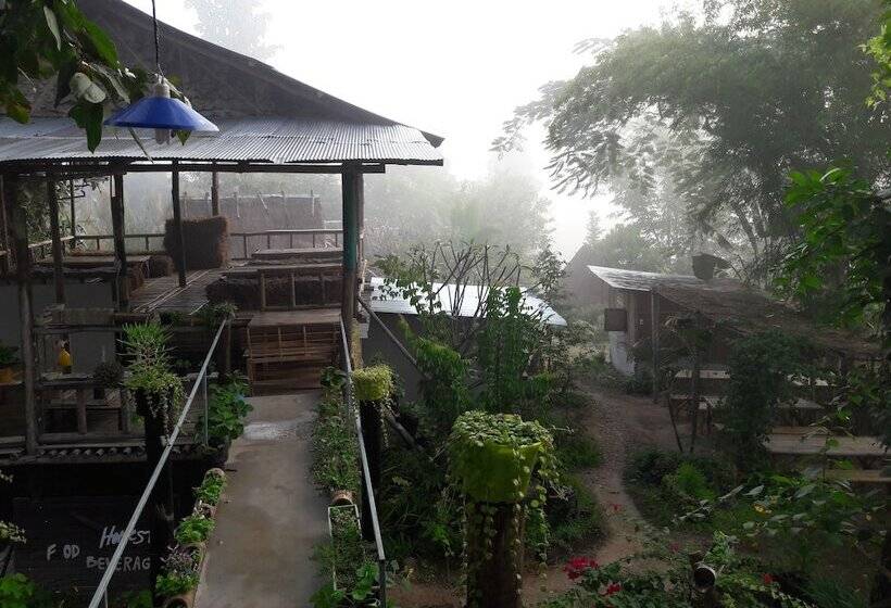 Отель Nusha Homestay