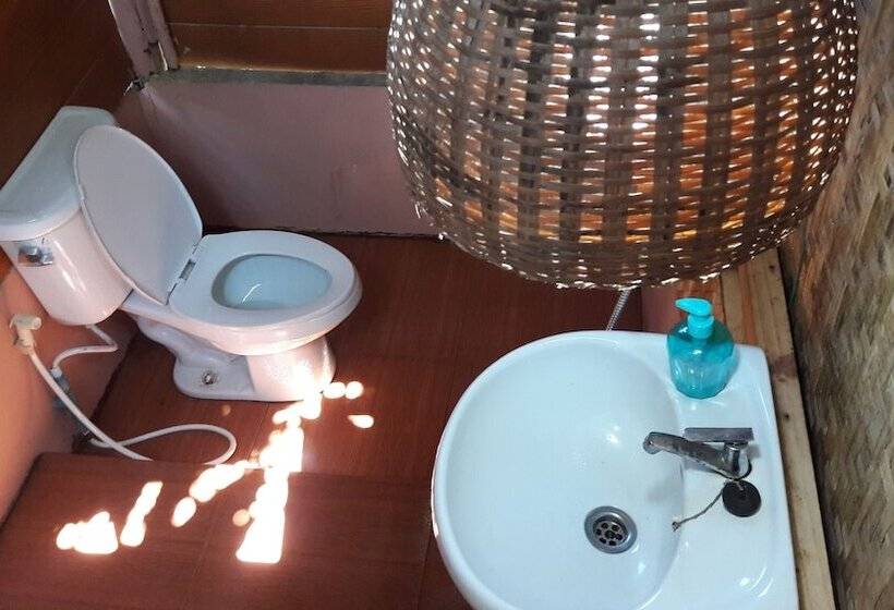 Отель Nusha Homestay