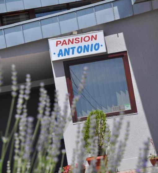 בית מלון כפרי Pansion Antonio