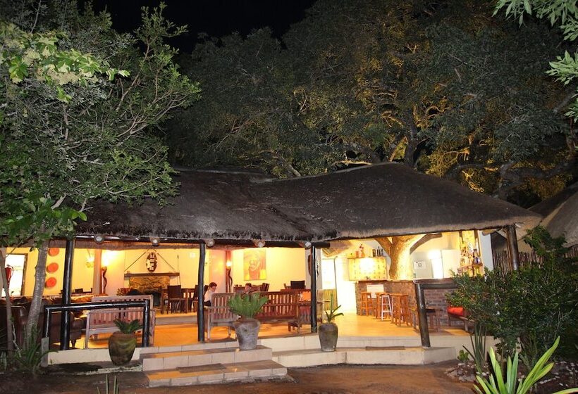 בית מלון כפרי Thornhill Safari Lodge