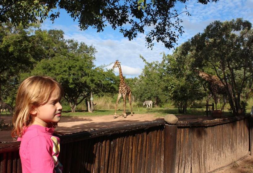 בית מלון כפרי Thornhill Safari Lodge