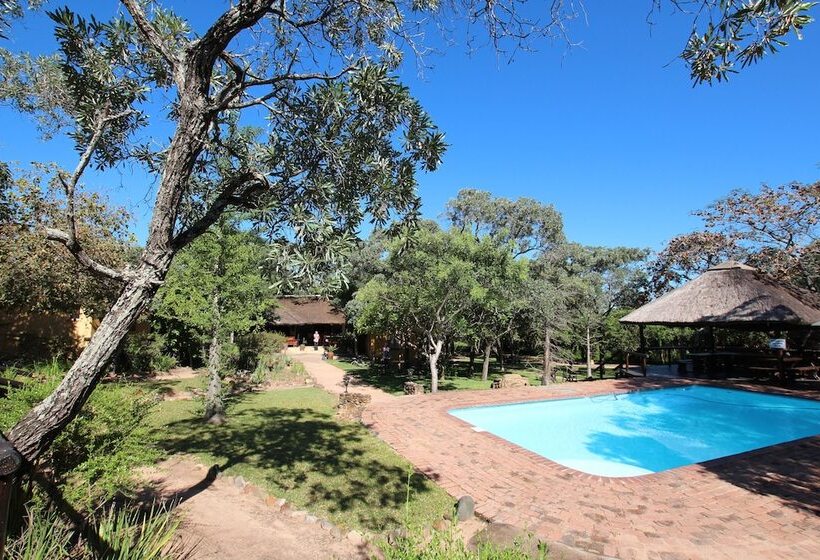 בית מלון כפרי Thornhill Safari Lodge