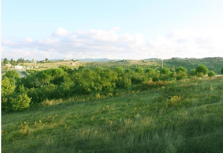 هتل Villa Pine Garden