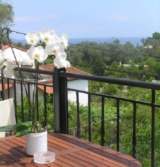 فندق Villa Tomas