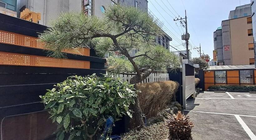 בית מלון כפרי Yangsan Show