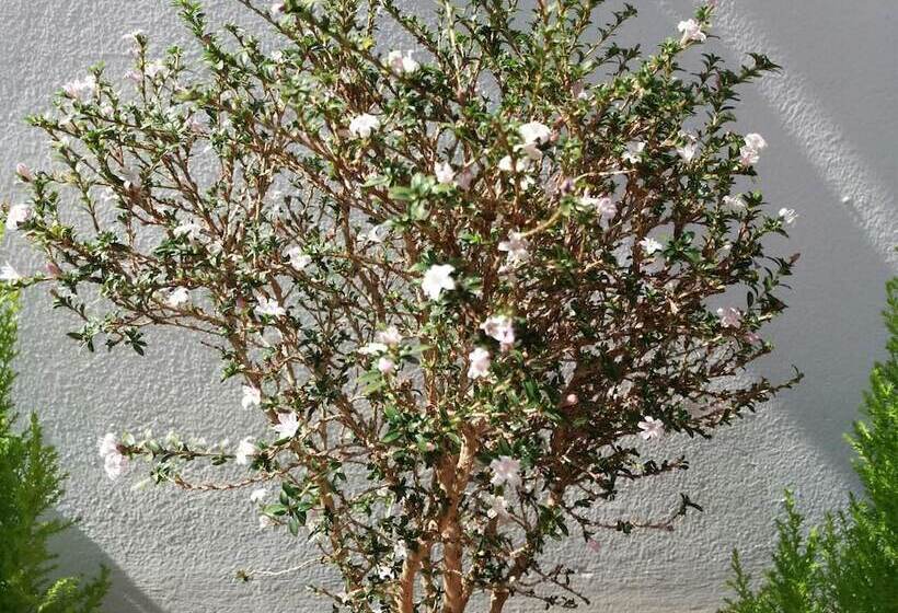 펜션 Dowonjeong Healing House