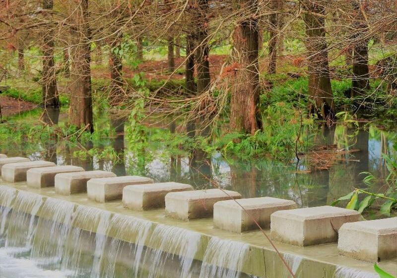 膳宿费 Hualien Flora B&b