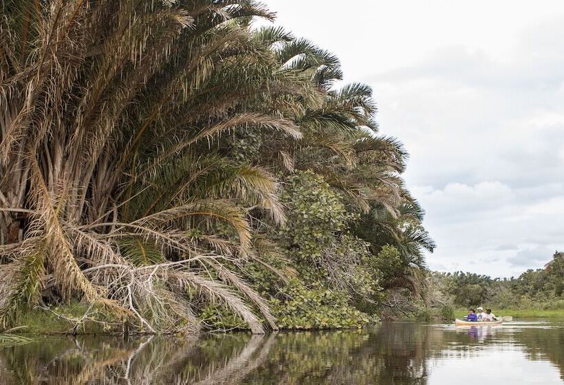 פנסיון Kosi Forest Lodge