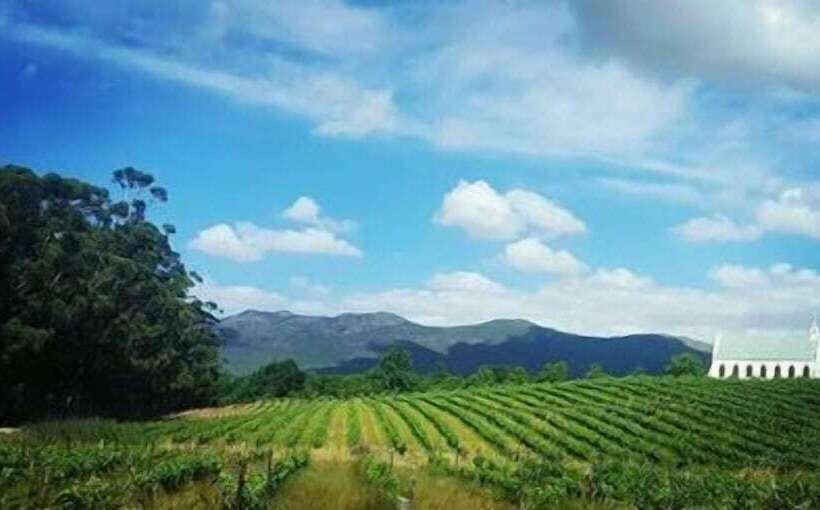 بنسيون Montpellier De Tulbagh