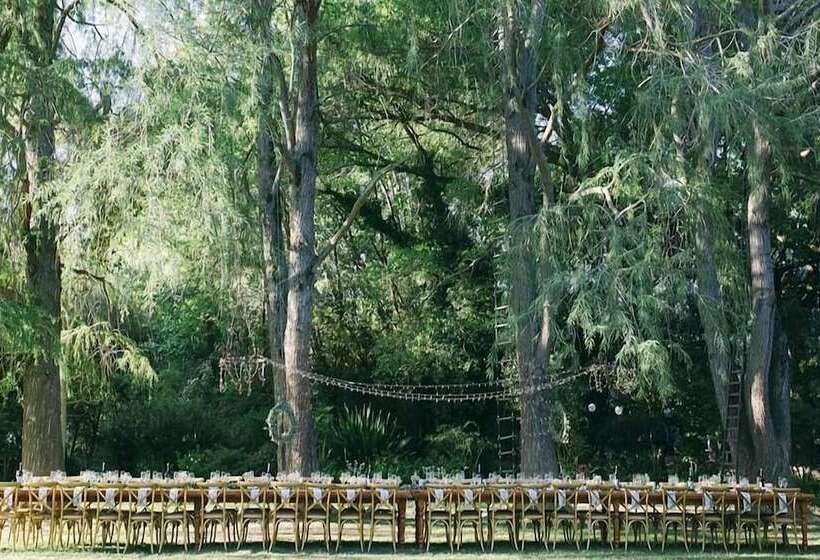 بنسيون Montpellier De Tulbagh