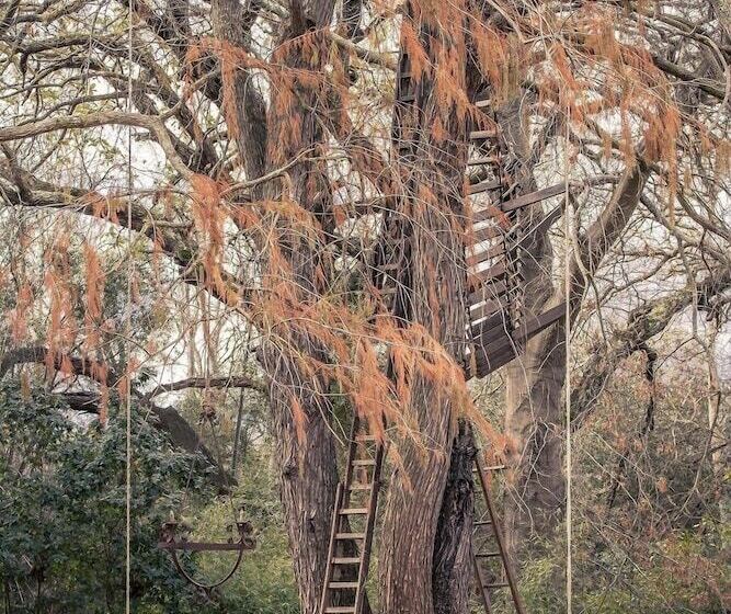 بنسيون Montpellier De Tulbagh