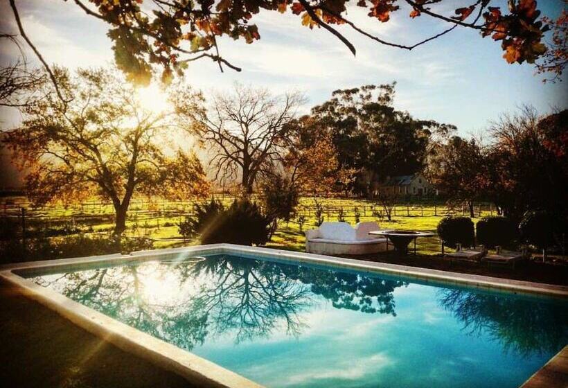 بنسيون Montpellier De Tulbagh